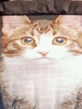 Cat Portrait Decorative Duvet Cover